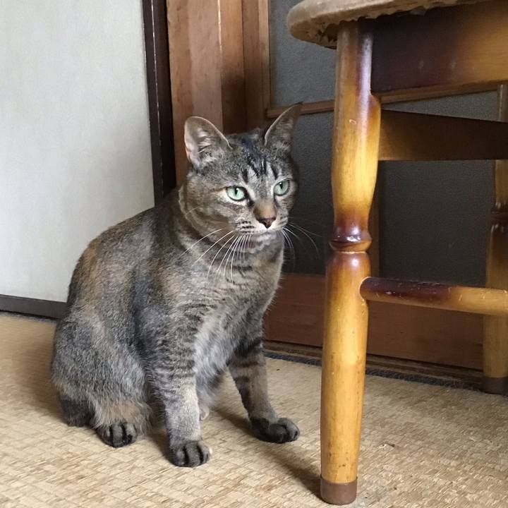 32e2f786 5a88 41eb 811a 16337c4b85cd 1656218154769