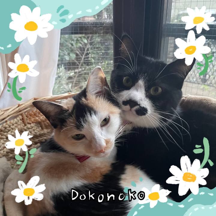 32e324fd 0a59 46f6 9c59 0685eade11bb 1712662391282