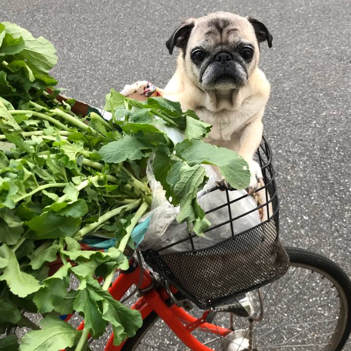 32e357a0 e2e8 4001 afed 501941095a59 1574725522514