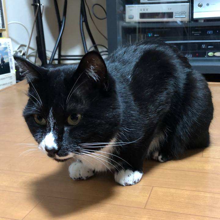 32e39349 78b5 47eb 8523 2537f6546f4e 1649648063084