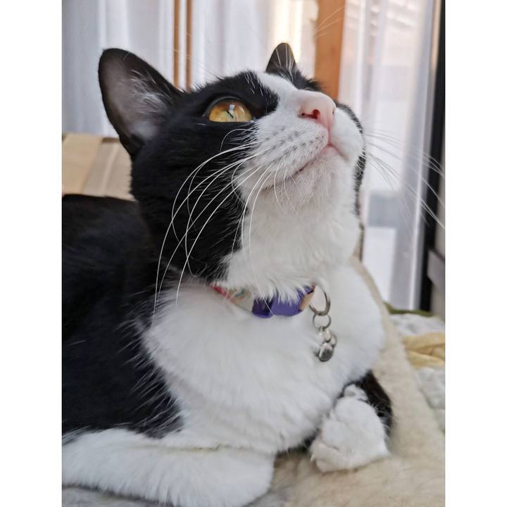 32e3a6f3 a38e 4739 baf5 e22cd91b9d31 1606033750227