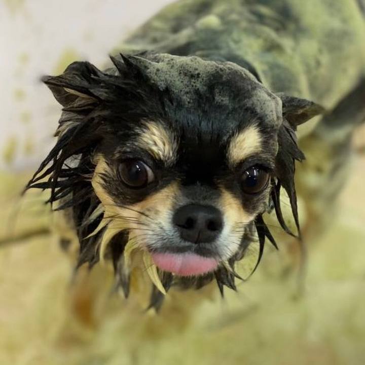 32e3ce1f 6ee7 4462 87e7 009250ce2552 1586684547793