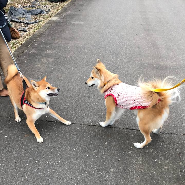 32e3d220 a685 4dd3 8293 bb4998b71740 1546086456374