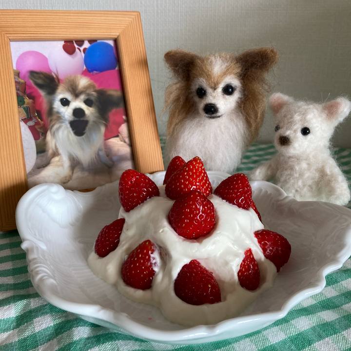 32e3e1e7 280a 45dc 937e 828421697228 1653547453165