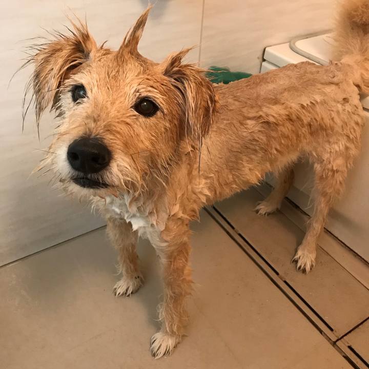 32e3e75f 7759 4488 b892 314f9fbec4e4 1530422916240