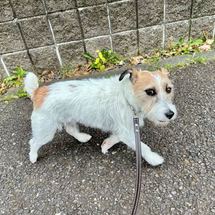 32e3f3d0 e17f 409c 9e4f 9c77d10f7e15 1748592209263