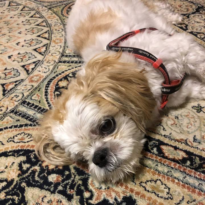 32e42e88 a75c 41de 86e0 fdb84e0ea1f1 1633902413002