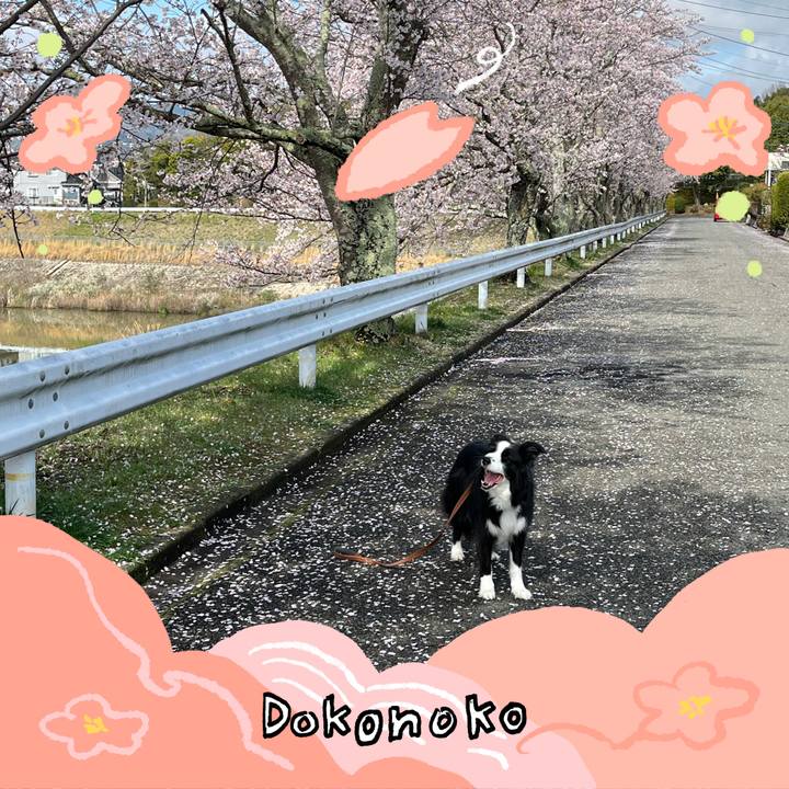 32e43669 243a 43ef 89c7 1a8a4e230e18 1775356297632