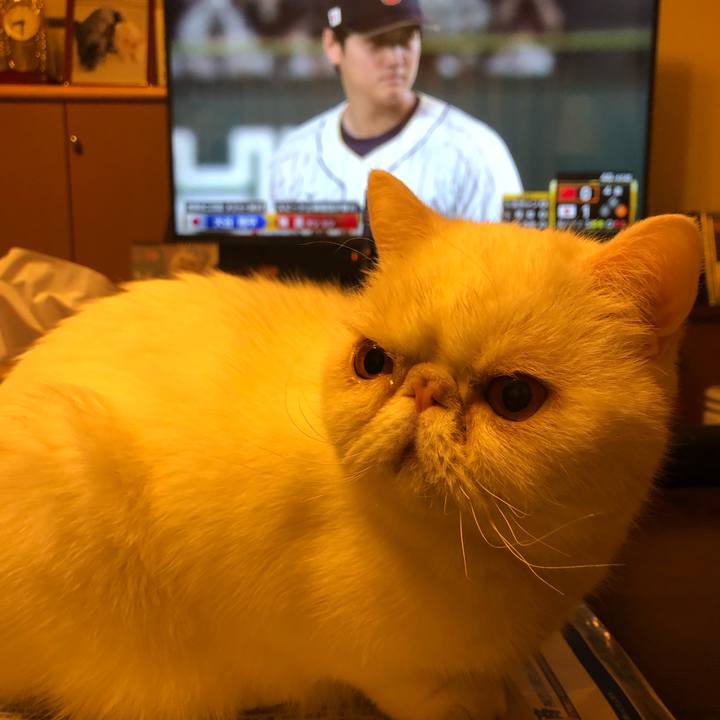 32e47da1 2628 406f 9f36 0831467a1fb8 1678363126345