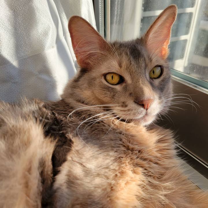 32e497f2 a1dd 433a a2ba 4dff1fbccf5c 1639807606658