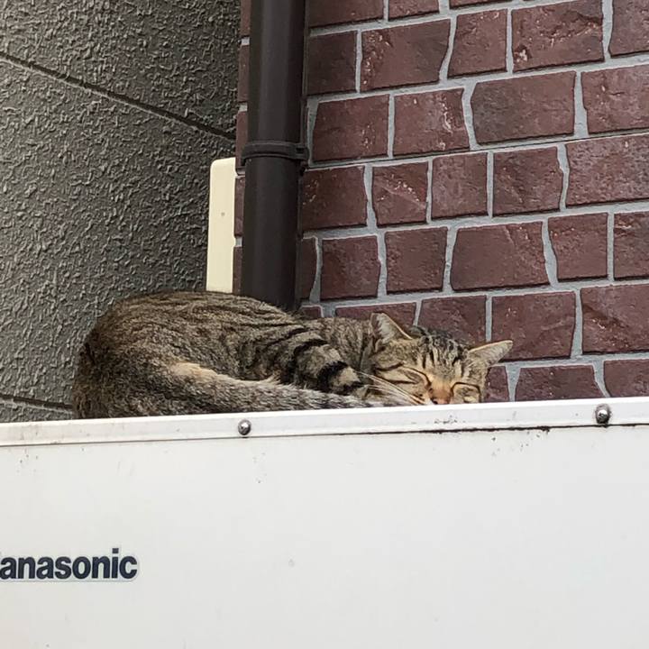 32e4c1db 7aa9 4c04 be70 8b73983b98cb 1544164561818