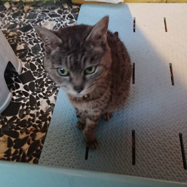 32e4c4f1 d3b0 46ea 9b67 e14c579e8d0d 1587633069371