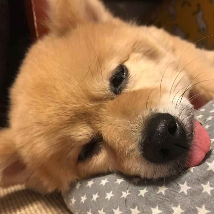 32e4dd30 4b60 49dd 8057 9041f2de495c 1597452117912