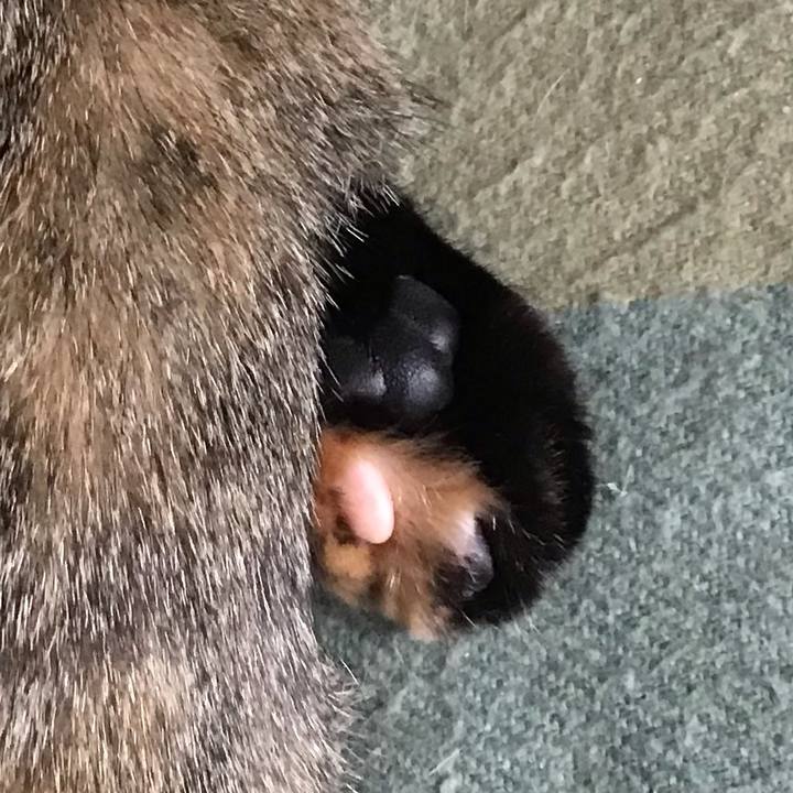 32e4ecbe 8f59 4fbc 8e88 52aa8345eb2d 1611644777550