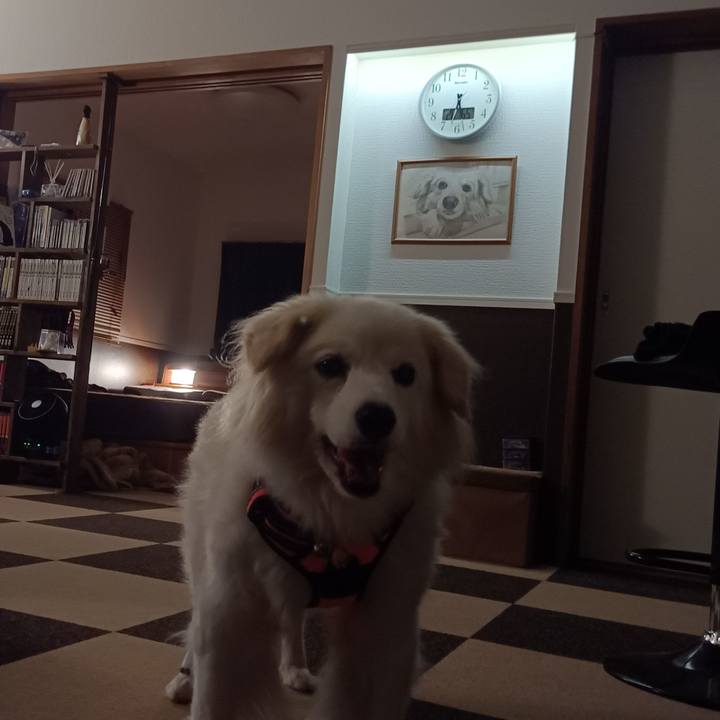 32e54dbb 3b01 4717 a7d8 831704852fda 1729071219290