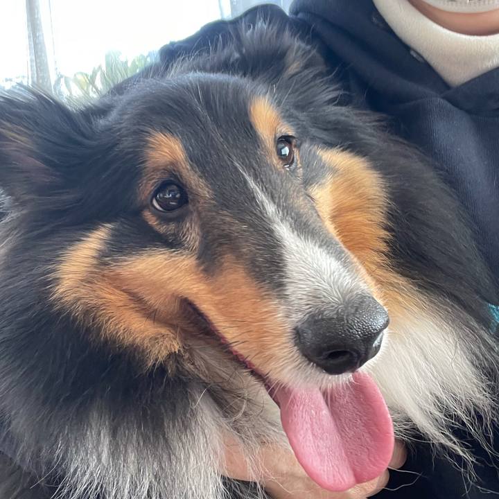 32e56e73 99b9 4b36 b351 ddba4a0e4e0d 1617832692975