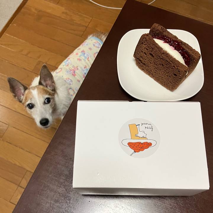 32e59542 5d67 4138 b849 0ced5ad395ec 1728777119711