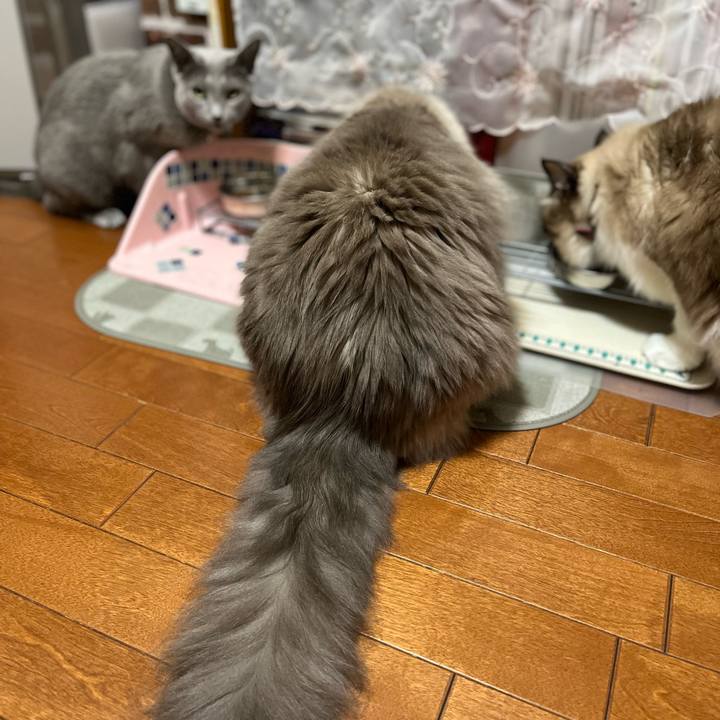 32e5dec2 bd01 4df4 99e3 dd575f6e0a6c 1635763535305