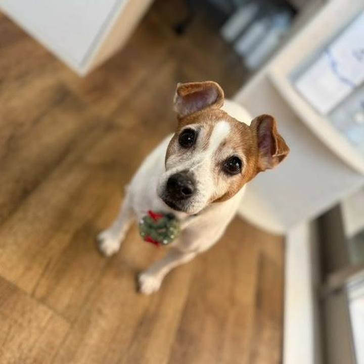 32e61bfe 7743 4ba0 8c9d a86f116f0ce3 1763945148889