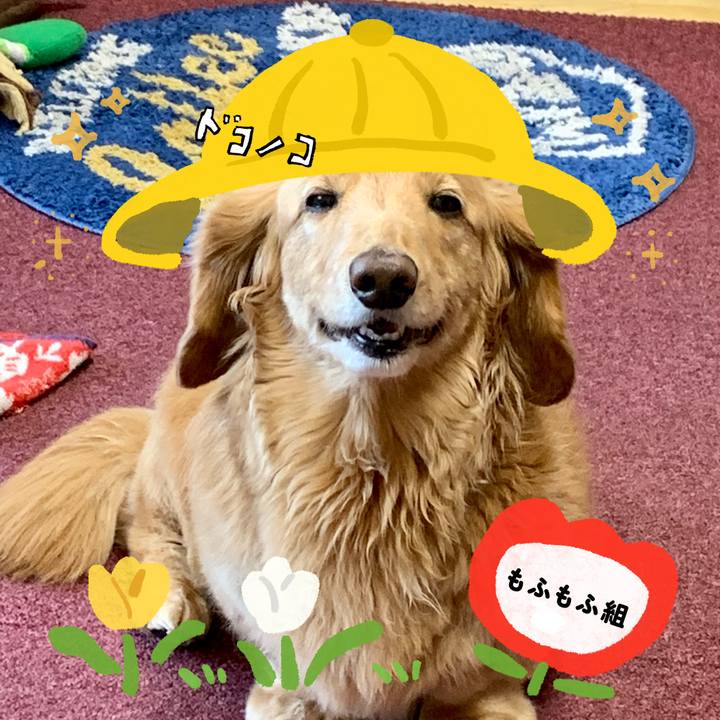 32e62bc4 2cf0 47d8 a952 641b8757816c 1712236670091