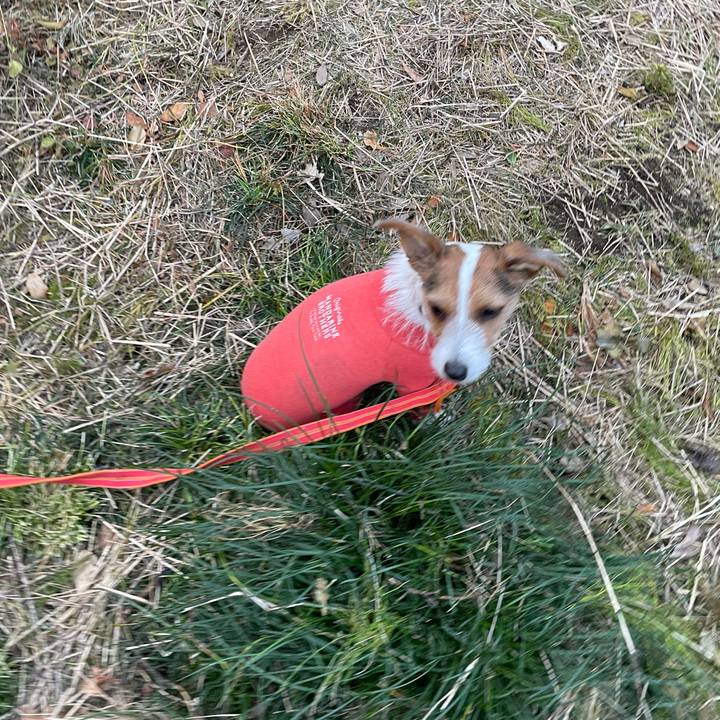 32e641b8 afe5 43fa a72c c4b6073fca41 1702283815209