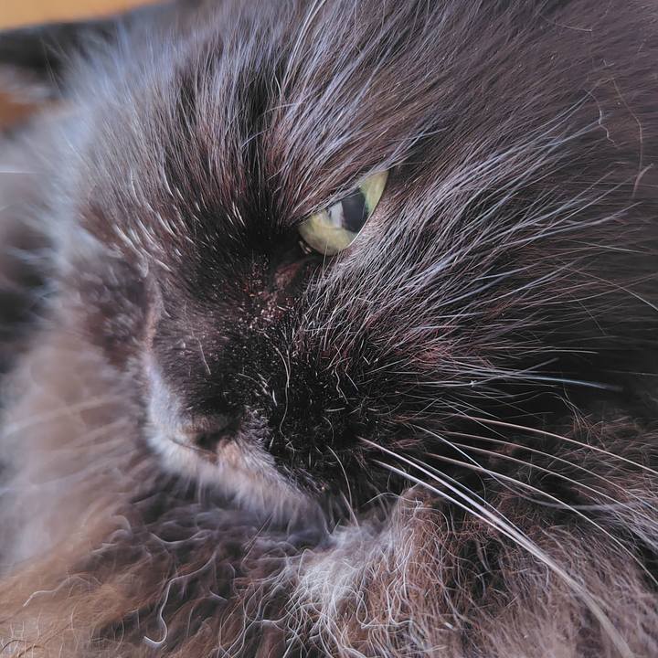 32e688e9 fc4e 47f1 9d76 32a6cd01f5b6 1755907497809