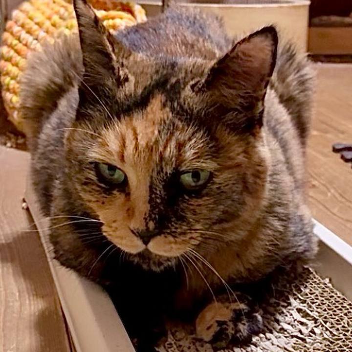 32e6906d dcbf 4491 bcc4 a95855baddfa 1756413076370