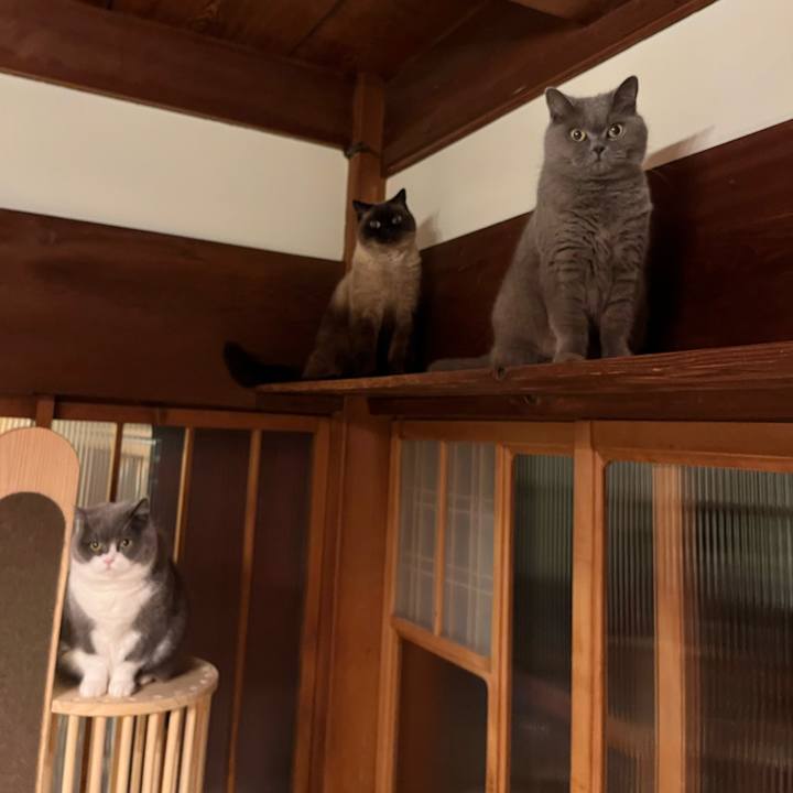 32e69d0a 2460 446d b9cb a18cb469e3b7 1736162570116