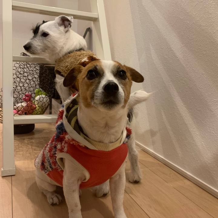 32e6b300 4a54 406c 93bc 6b22984b6c48 1549787645259