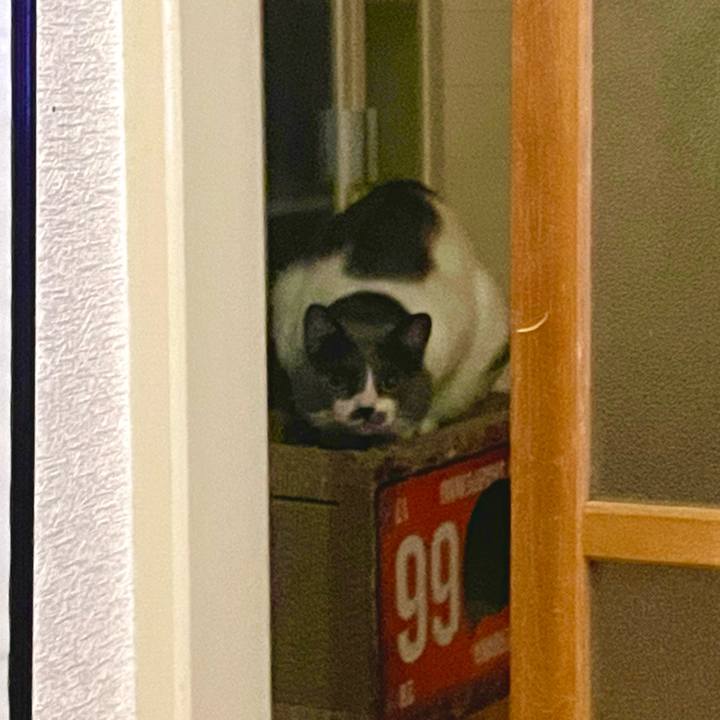 32e6e119 0724 4161 bb2b 5e184007f511 1669211750635