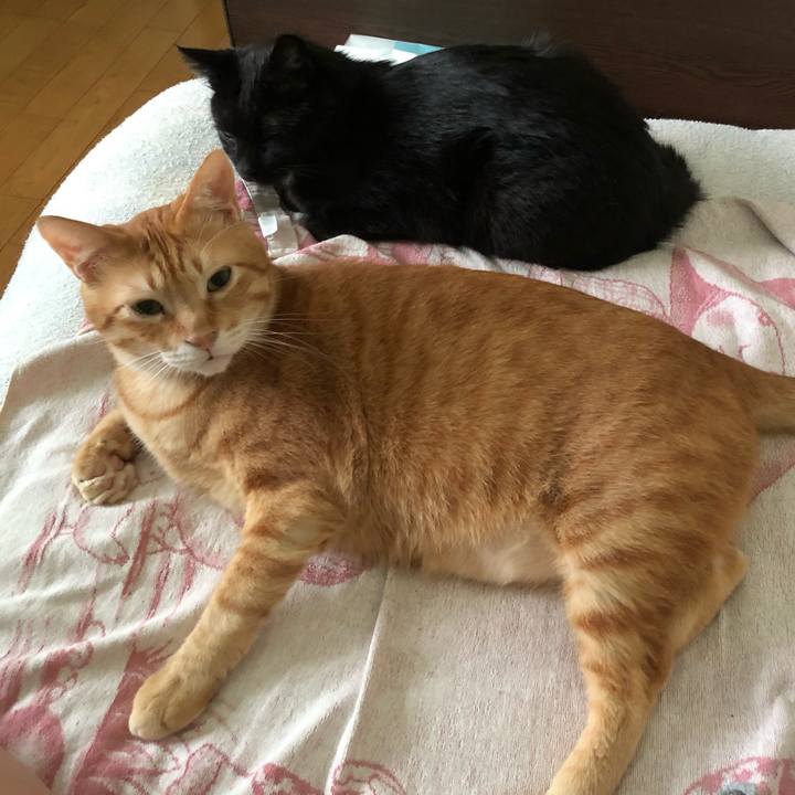 32e6e65a e341 4d5c a1b1 8035332c103b 1568494906516