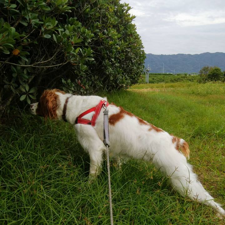 32e6f7ad 4aae 465b a5eb 0e6b51a558cc 1538556239025