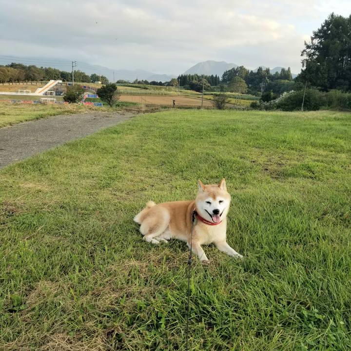 32e71fe4 d47f 413f bd19 a43c1c436e20 1727769245030