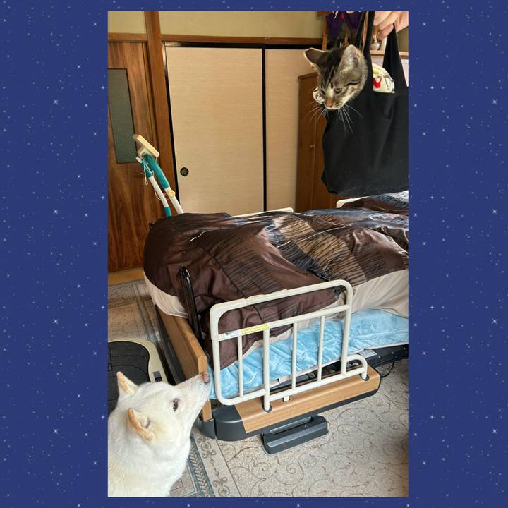 32e73359 b7f0 4e46 b057 4d5d7aa31cc4 1731199193084