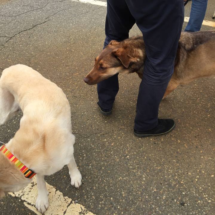 32e73e14 b6ff 4204 8761 254e55af0eaf 1523941799001