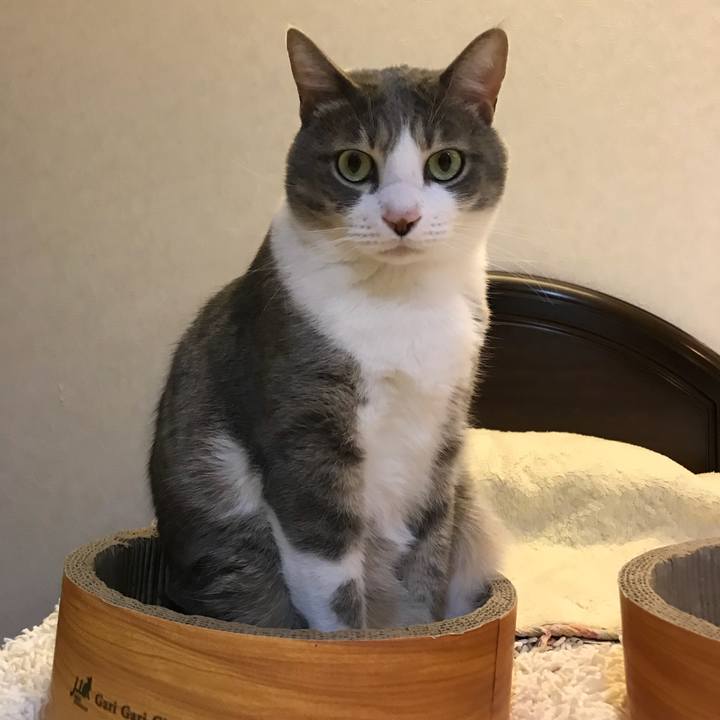 32e76b88 f489 4500 9f78 8963132fc608 1519224179940