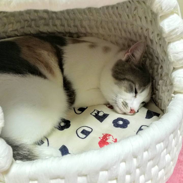 32e77289 b4cb 4990 9f57 25a53a9653e5 1527470752479