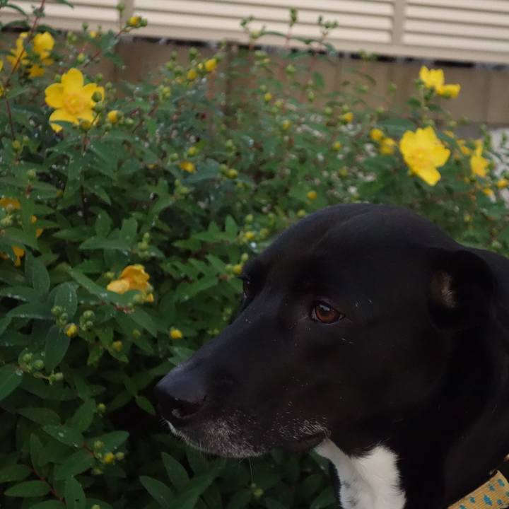 32e79d4a ab76 4aa2 aaaa 1c94cb4d764b 1621421949845