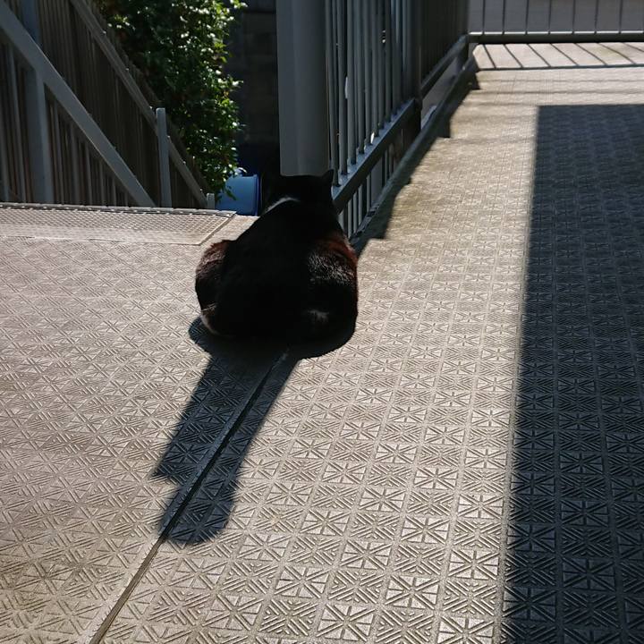 32e7b100 6d4d 49e5 9881 ce9c248a90f9 1560382510334