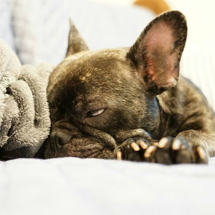 32e7d1d8 50ce 4868 9dc3 f6bee19cccd0 1538020533753