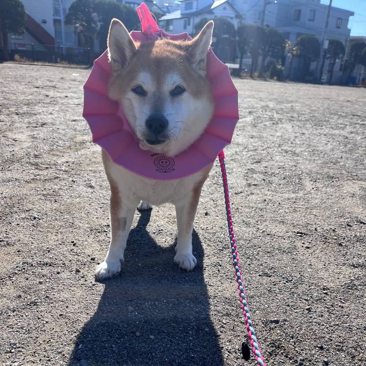 32e7d2c6 f437 4b46 9458 8e67bb879ab9 1705201033025