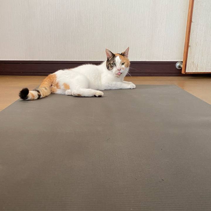 32e7e367 8577 44de b267 846f0c654606 1694005463575