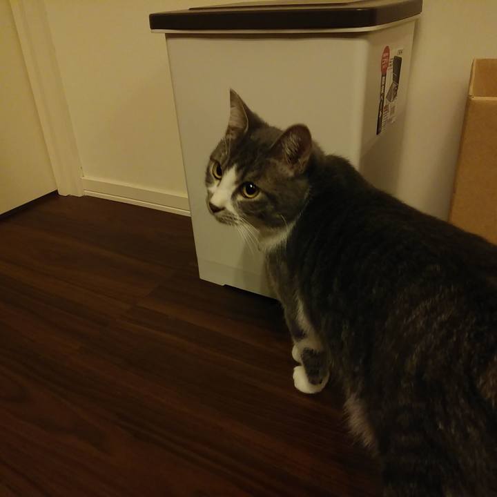 32e7fb56 fd20 4408 9a25 04ac547bdf86 1575815855684