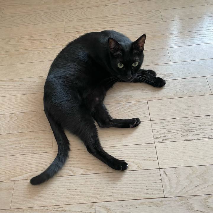 32e8055a b00e 422d bfdc bf0993e781b6 1755212430717