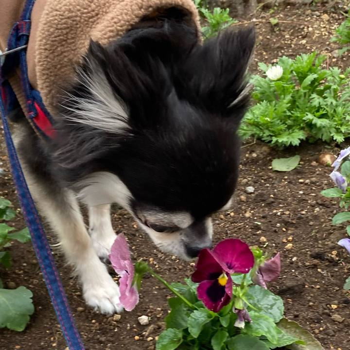 32e82ecb 0a32 4577 8022 6afc26c8dcd7 1700994450968