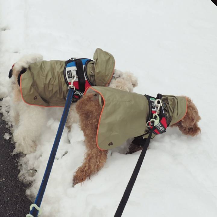 32e84819 39a9 42d0 8c4b 8c251049d49e 1517525410432