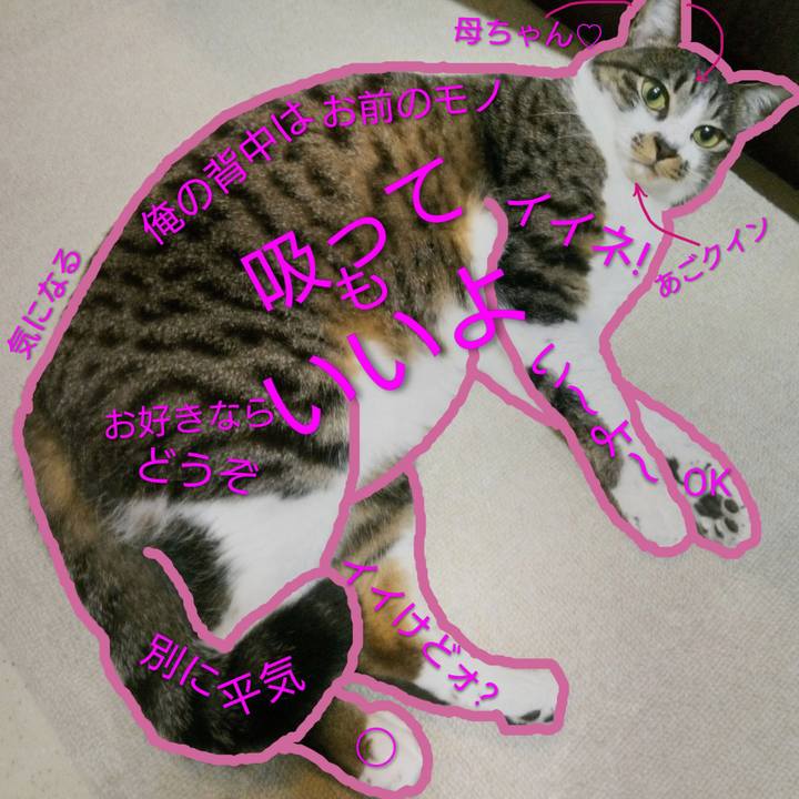 32e84f14 3215 4b55 8a4e a81a528c4bd7 1762926390555