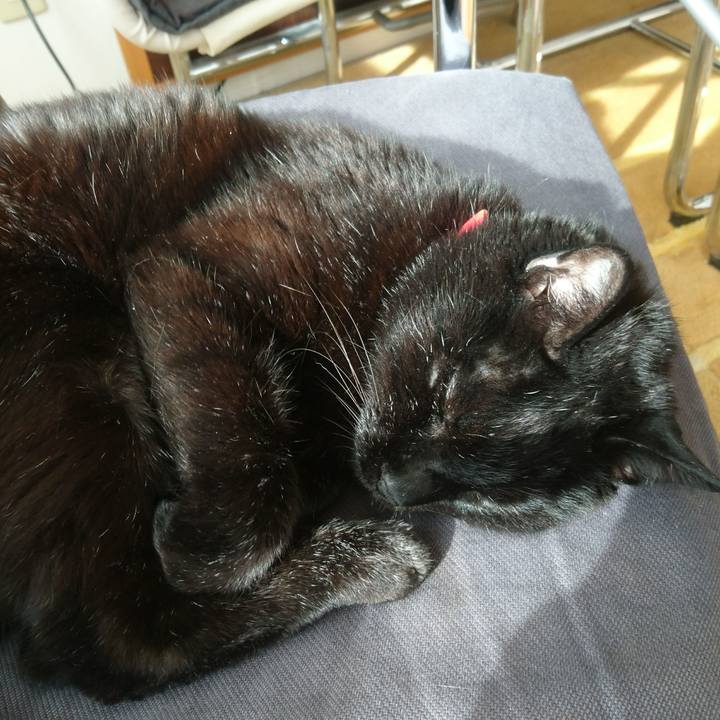 32e8717a c892 4feb a183 c90ff9fe53be 1523188013570