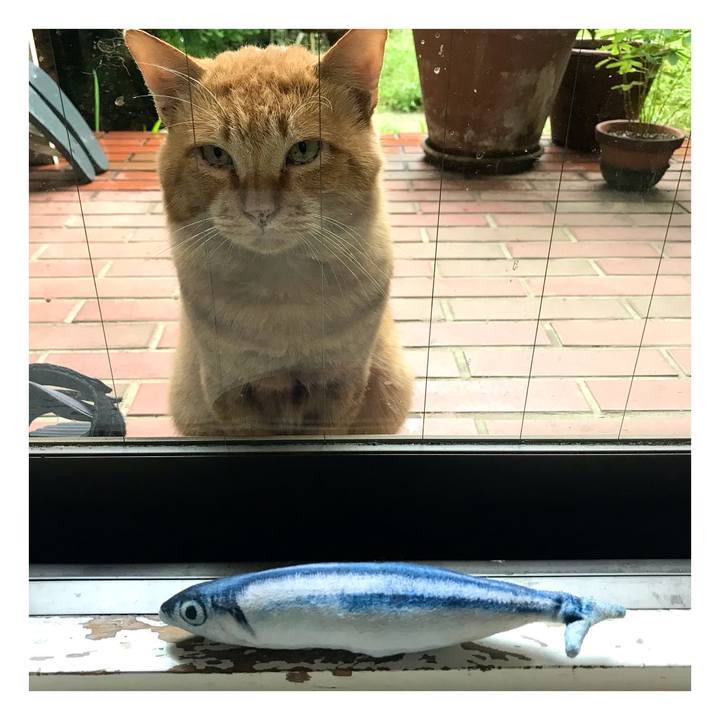 32e8a076 f01c 4586 acea 045d8900000f 1665703066183