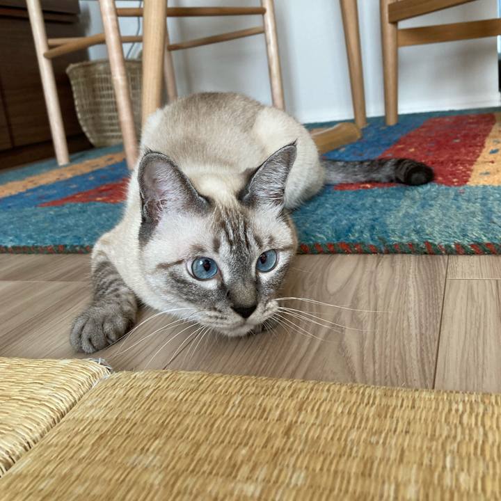 32e8a749 f418 4884 b0da 867318c0a6c2 1599175316137